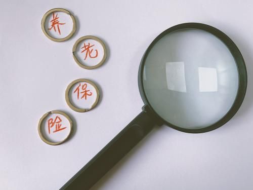 养老保险,养老金